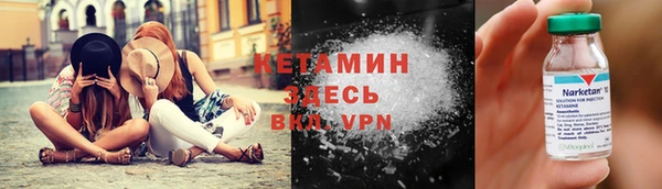 стаф Бородино
