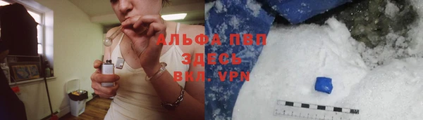 молекула духа Богородск
