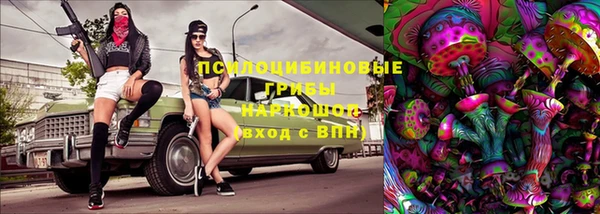 прущий лед Касимов