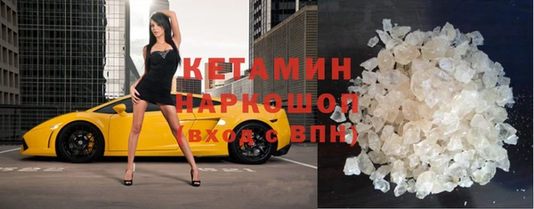 стаф Бородино