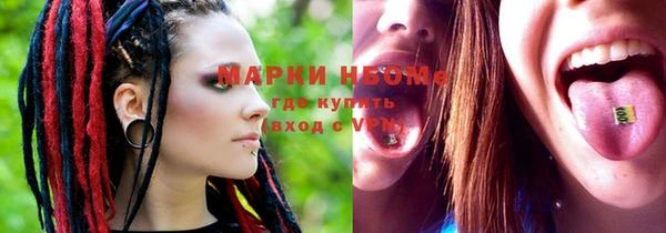 стаф Бородино