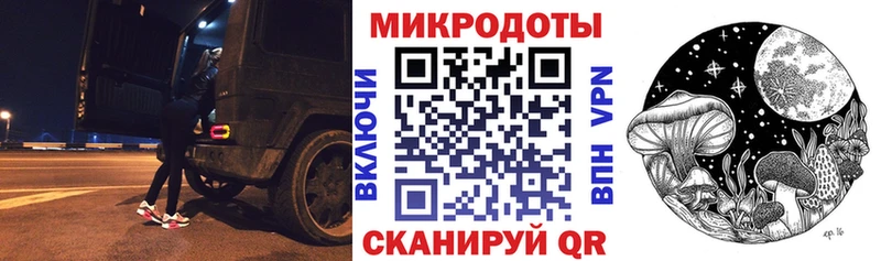 купить   Кондрово  Псилоцибиновые грибы Psilocybe 